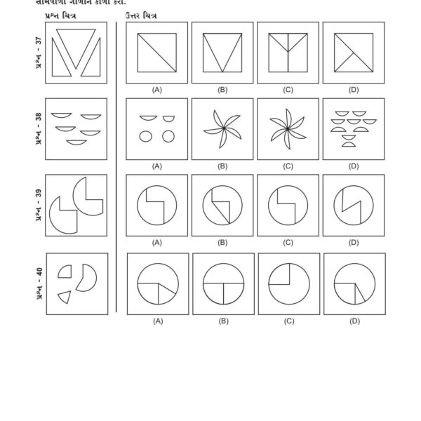 JAVAHAR NAVODAY APEXA 50 MODEL PAPER BOOK 10 DEMO COPY 10
